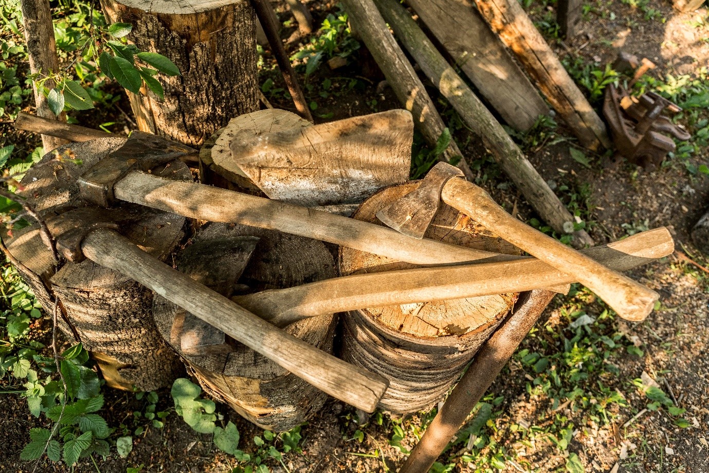 Emergency tree services Jacksonville