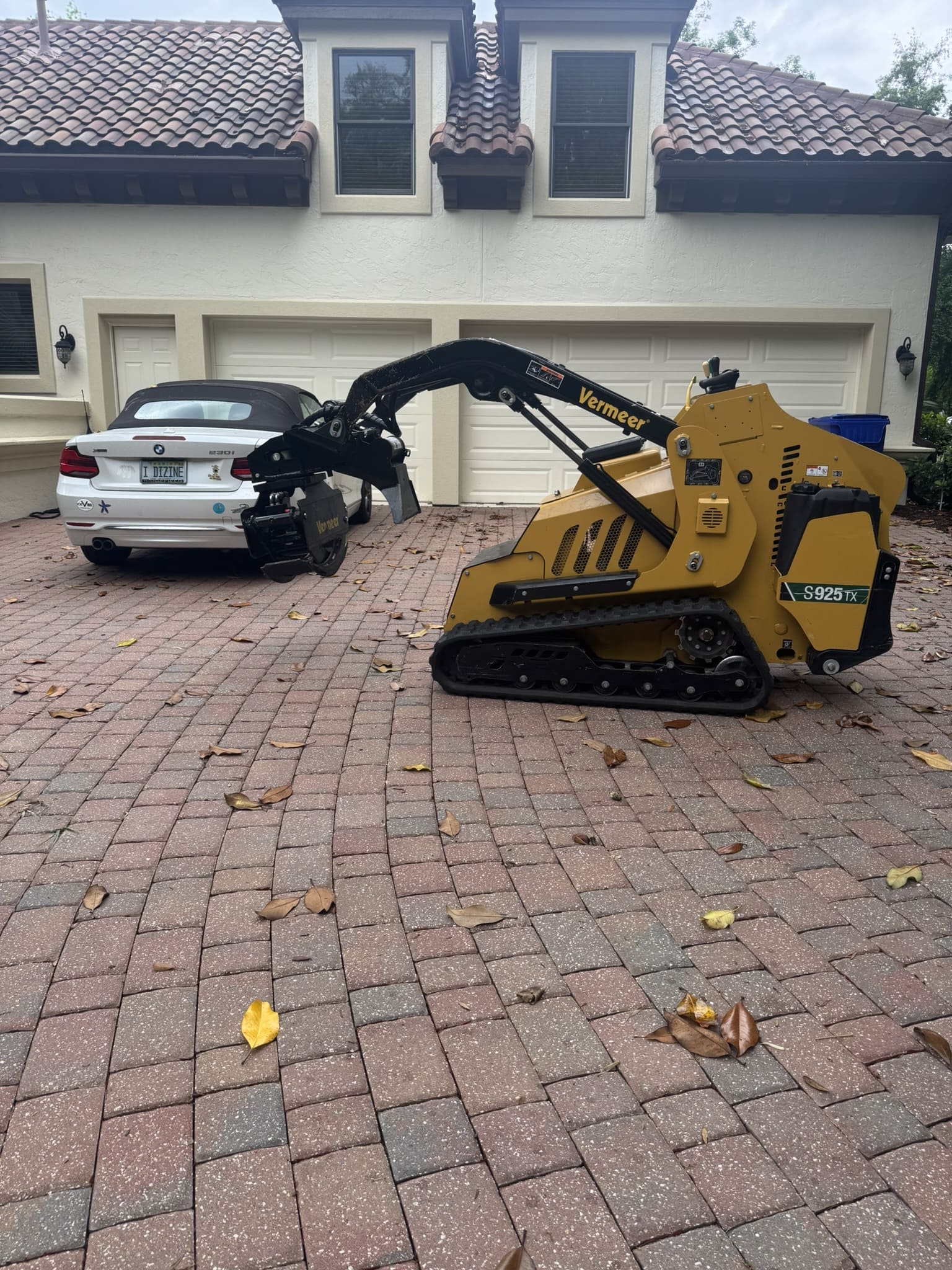 Long-Term Tree Health and Aesthetics