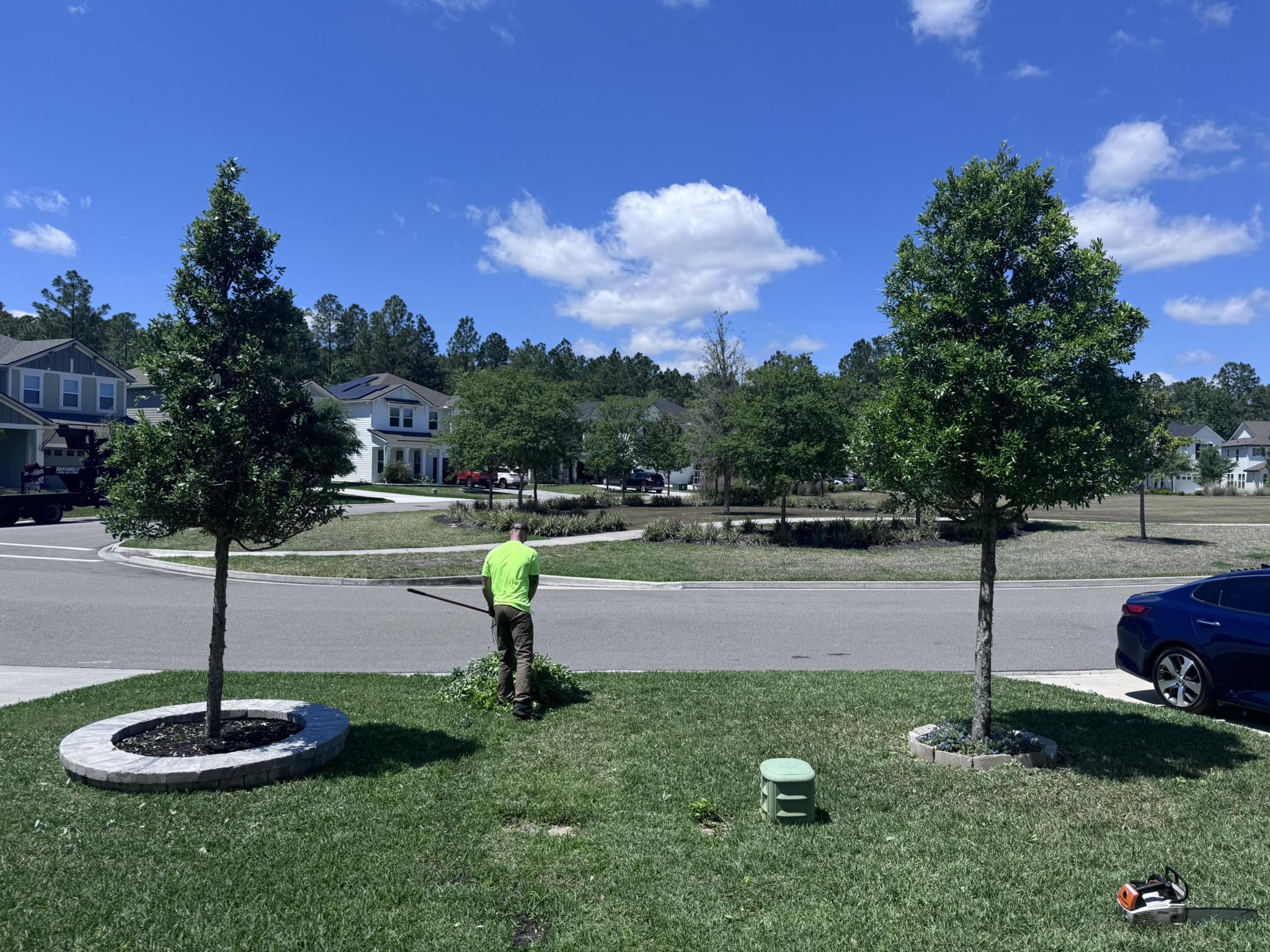 Safe and Professional Tree Removal