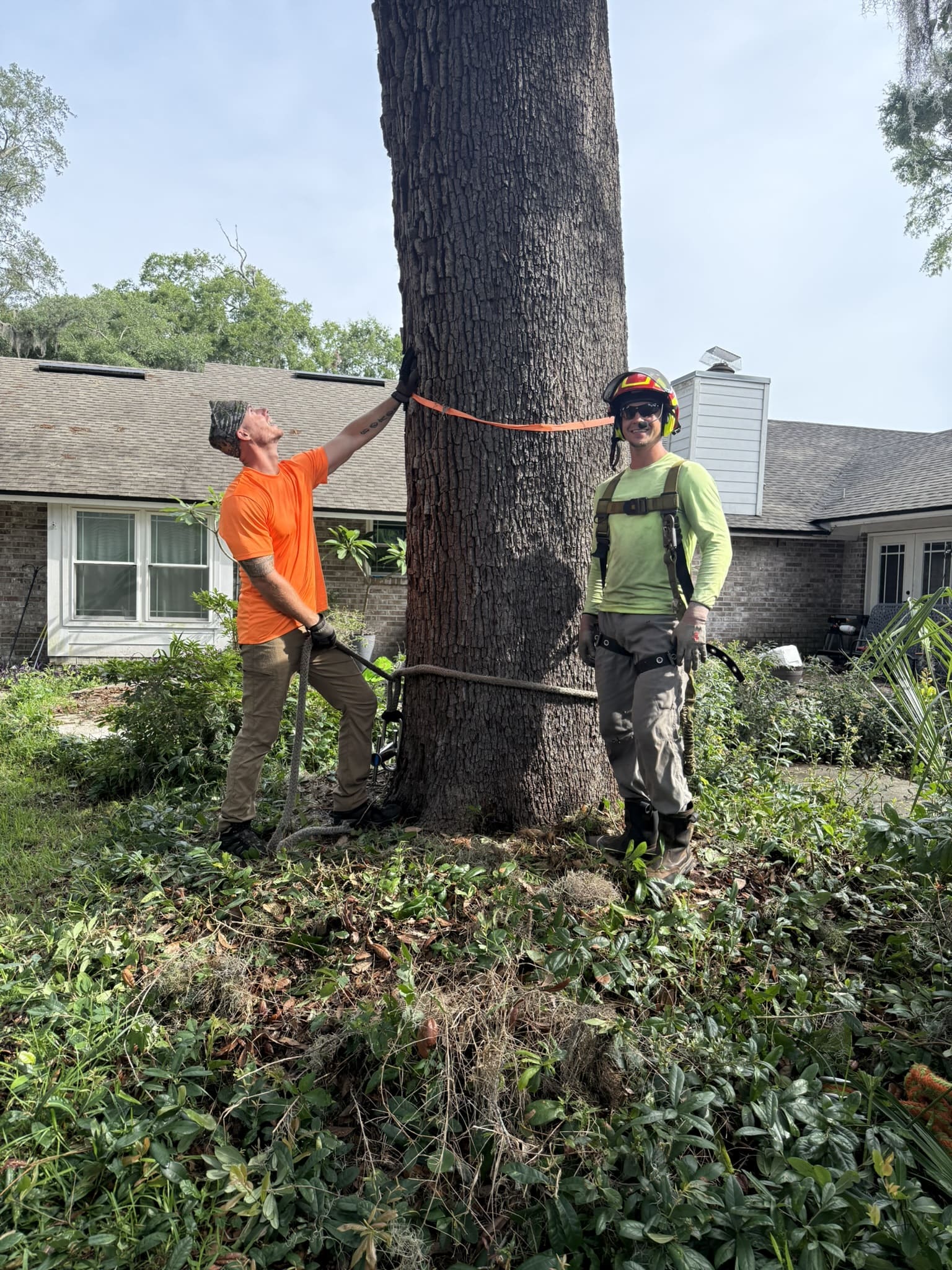 Safe and Thoughtful Tree Removal Solutions