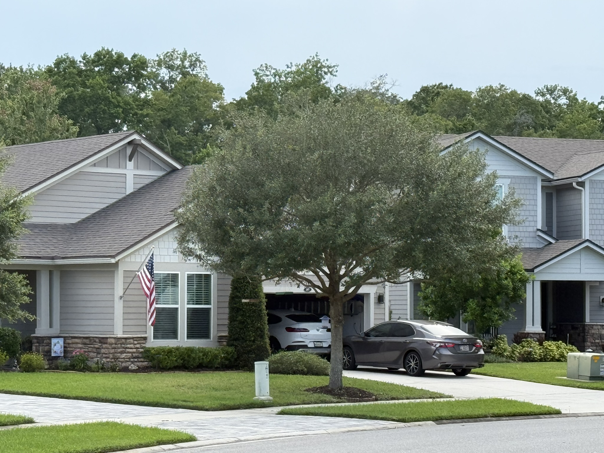 Protecting Your Home Starts With Expert Tree Care