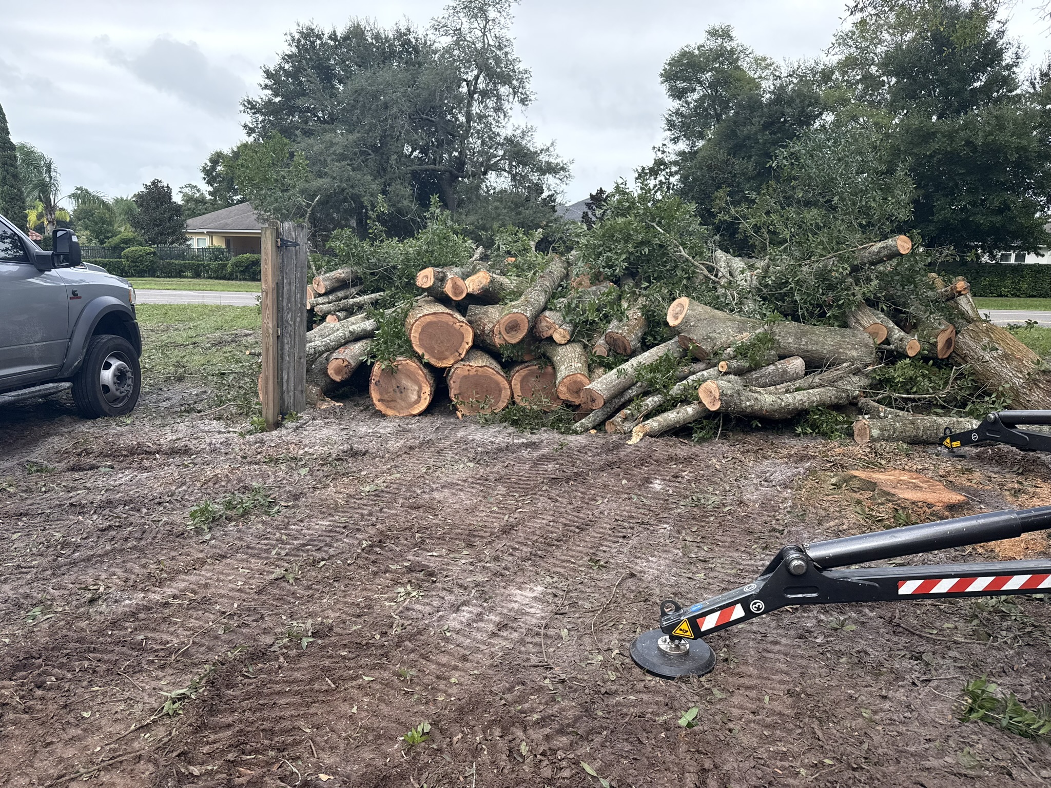 Stump Grinding