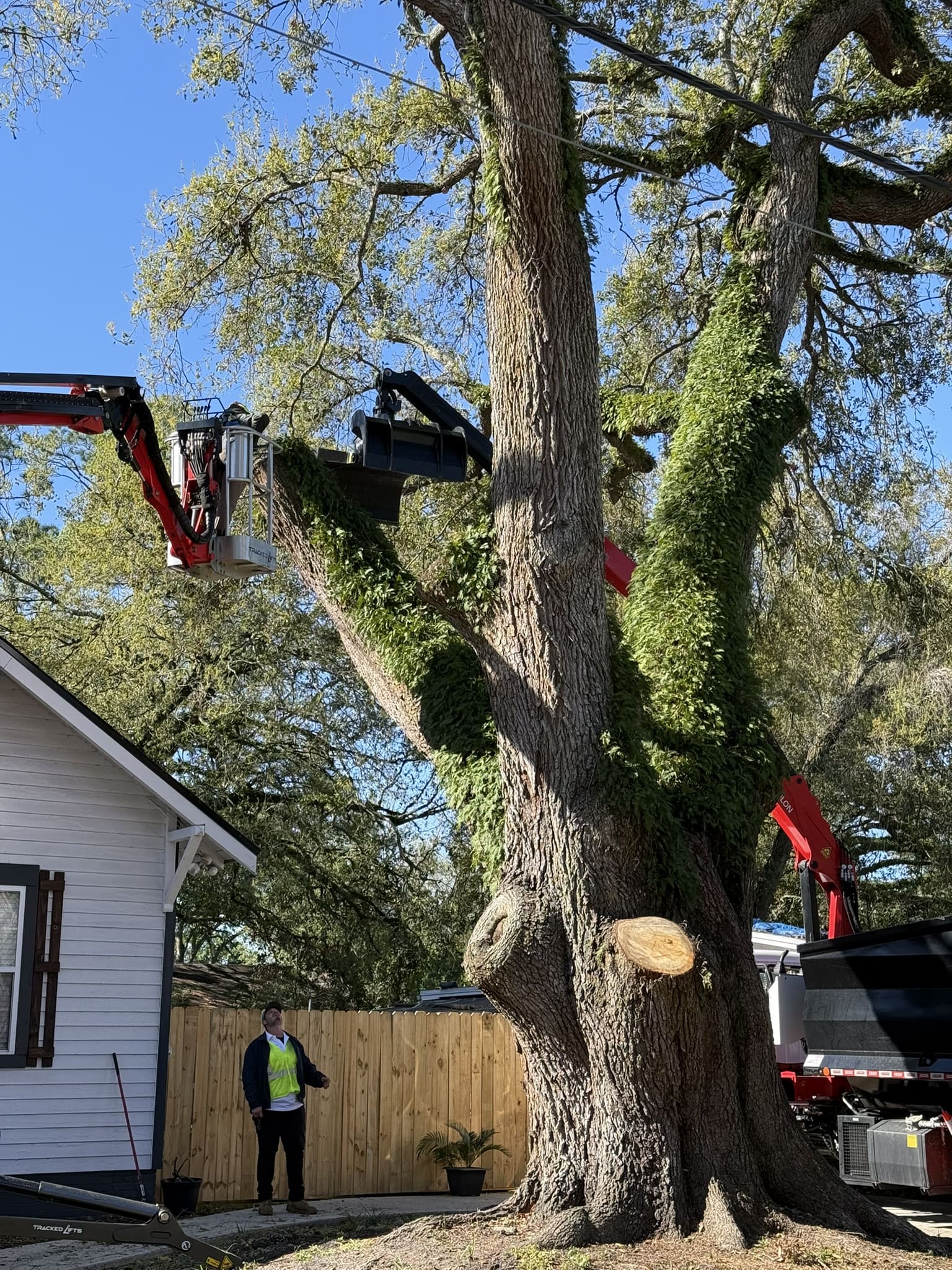 Pruning That Nurtures and Strengthens